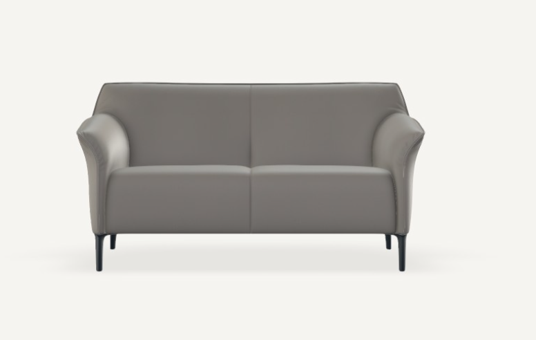 Leolux Mayon Sofa in Leder Grau 